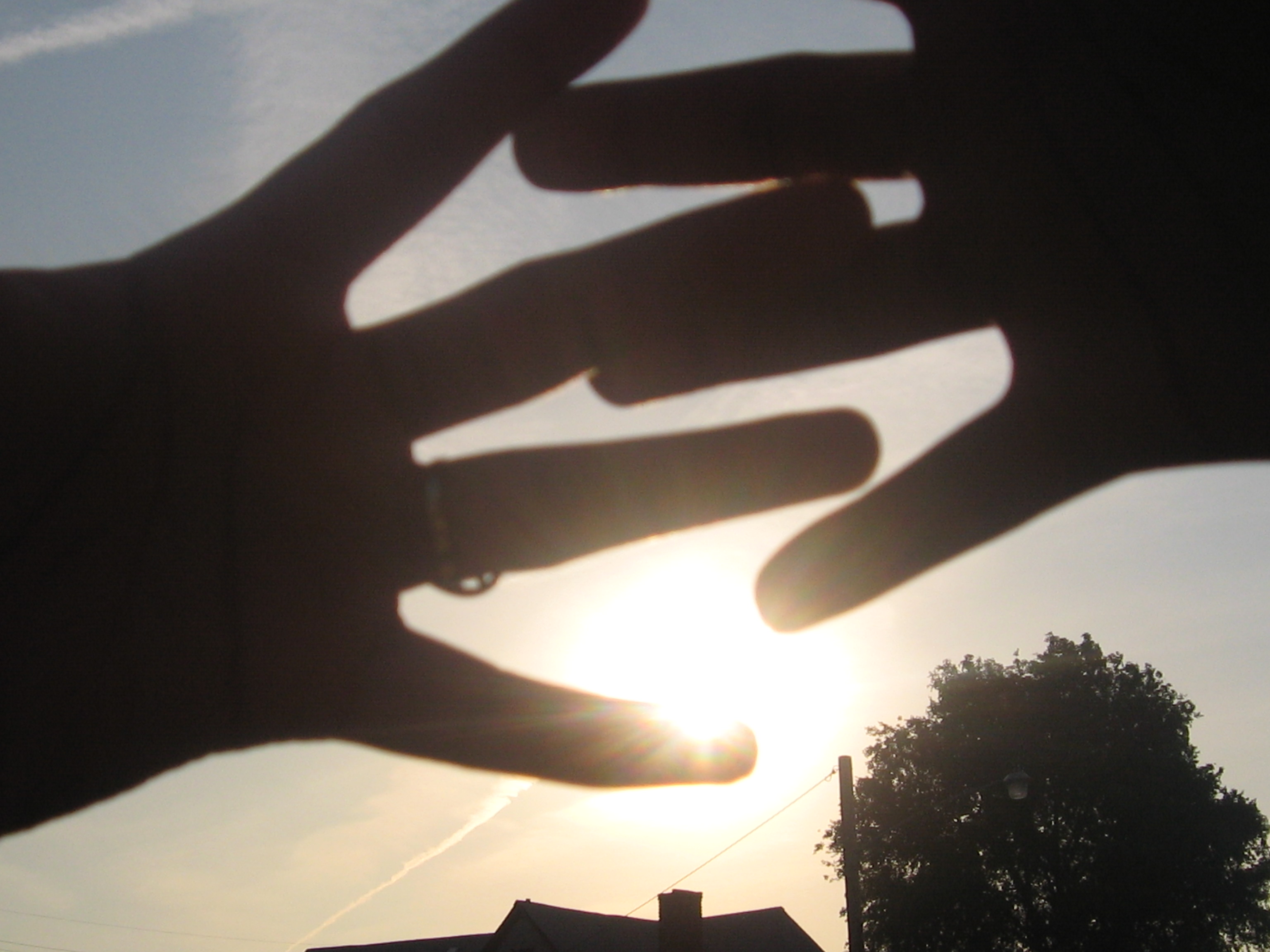 sunshine hands