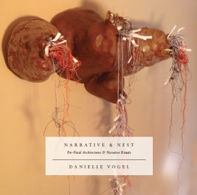 Book Cover of Narrative & Nest, Vogel