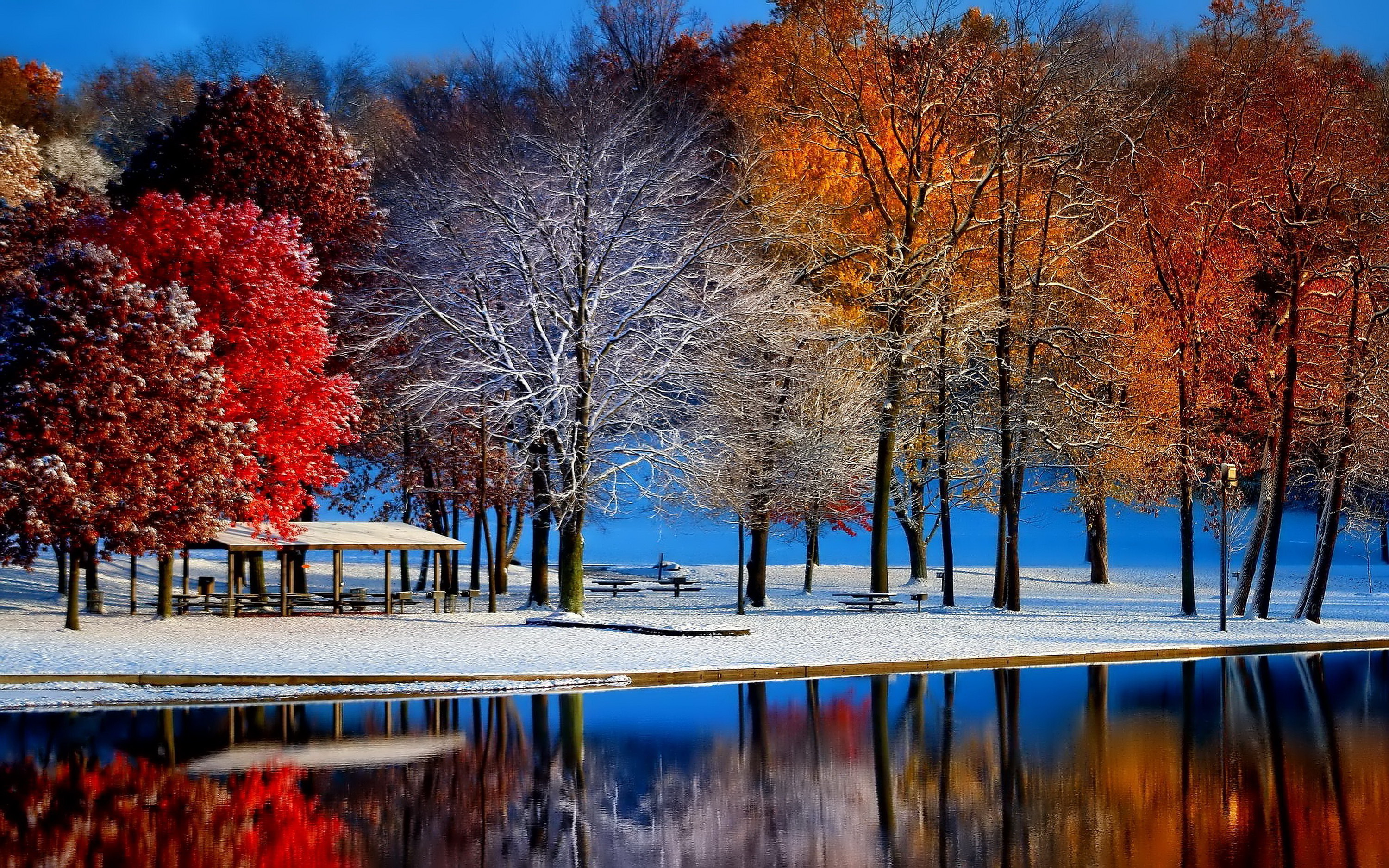 Winter fall